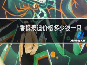 香槟泰迪价格多少钱一只