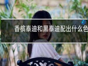香槟泰迪和黑泰迪配出什么色