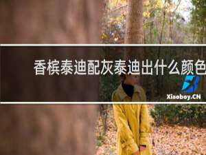 香槟泰迪配灰泰迪出什么颜色