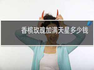 香槟玫瑰加满天星多少钱