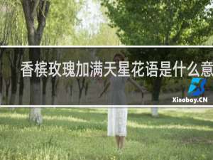 香槟玫瑰加满天星花语是什么意思