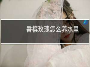 香槟玫瑰怎么养水里