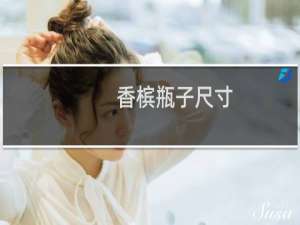 香槟瓶子尺寸