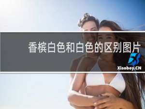 香槟白色和白色的区别图片