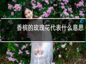 香槟的玫瑰花代表什么意思
