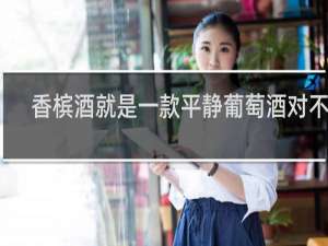 香槟酒就是一款平静葡萄酒对不对
