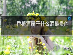 香槟酒属于什么酒最贵的
