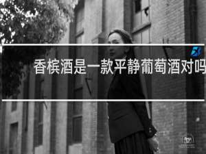 香槟酒是一款平静葡萄酒对吗