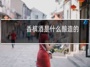 香槟酒是什么酿造的