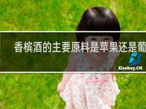 香槟酒的主要原料是苹果还是葡萄
