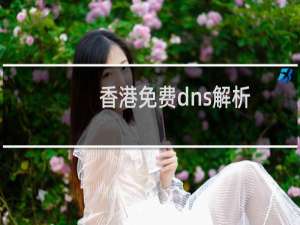 香港免费dns解析