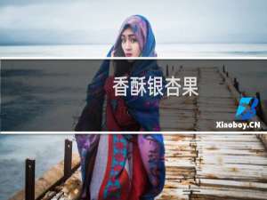 香酥银杏果