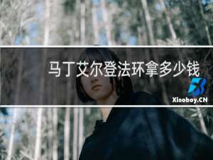 马丁艾尔登法环拿多少钱