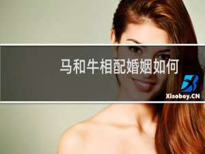 马和牛相配婚姻如何