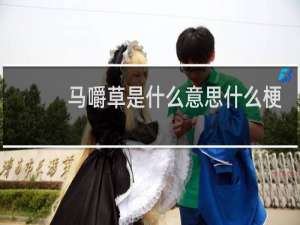 马嚼草是什么意思什么梗