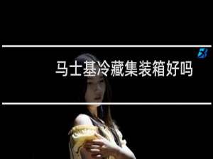 马士基冷藏集装箱好吗