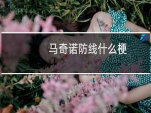 马奇诺防线什么梗