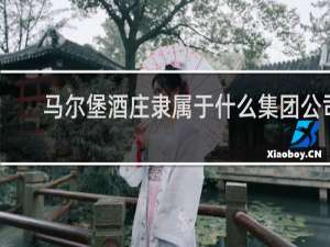 马尔堡酒庄隶属于什么集团公司
