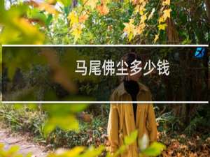 马尾佛尘多少钱