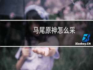 马尾原神怎么采