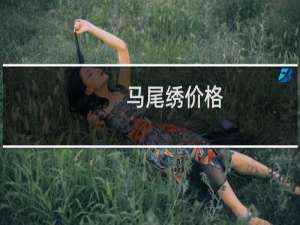 马尾绣价格