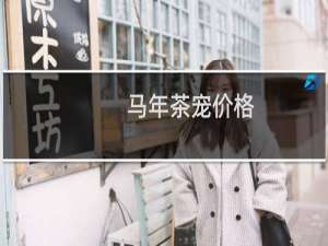 马年茶宠价格