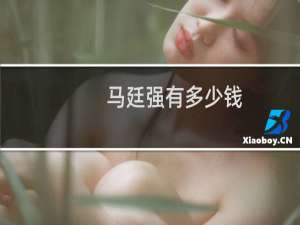 马廷强有多少钱