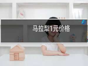 马拉犁1元价格