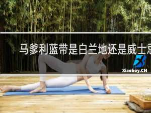 马爹利蓝带是白兰地还是威士忌
