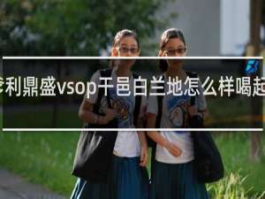 马爹利鼎盛vsop干邑白兰地怎么样喝起来怎么样