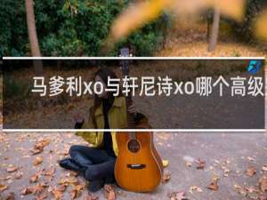 马爹利xo与轩尼诗xo哪个高级别