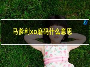 马爹利xo磨码什么意思