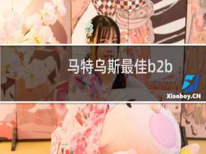 马特乌斯最佳b2b