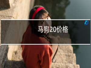 马狗 价格
