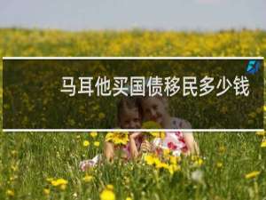 马耳他买国债移民多少钱