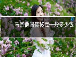 马耳他国债移民一般多少钱
