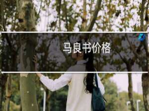 马良书价格