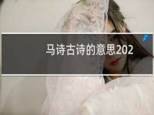 马诗古诗的意思2020（马诗古诗的意思）