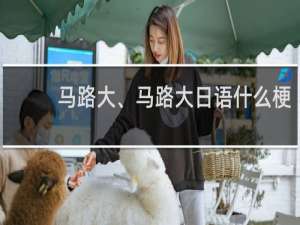 马路大、马路大日语什么梗