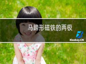 马蹄形磁铁的两极