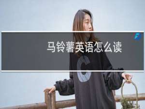 马铃薯英语怎么读