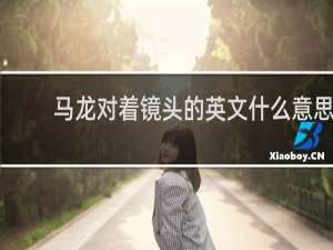 马龙对着镜头的英文什么意思