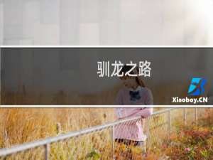 驯龙之路（完整版）攻略