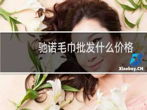 驰诺毛巾批发什么价格