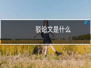 驳论文是什么