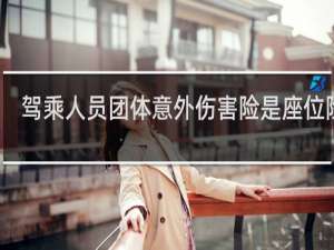 驾乘人员团体意外伤害险是座位险吗