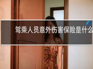 驾乘人员意外伤害保险是什么