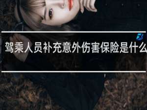 驾乘人员补充意外伤害保险是什么东西