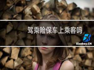 驾乘险保车上乘客吗
