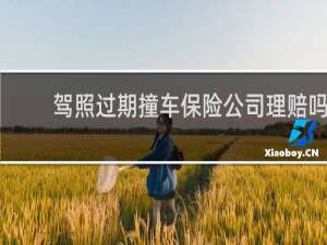 驾照过期撞车保险公司理赔吗